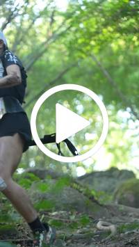 BIB:  <button type="button" onclick="openModal(27926142)" class="btn btn-primary btn-sm float-right" data-toggle="modal" data-target=".modal-high-quality">
                <i class="fa fa-download"></i> Download
                </button>